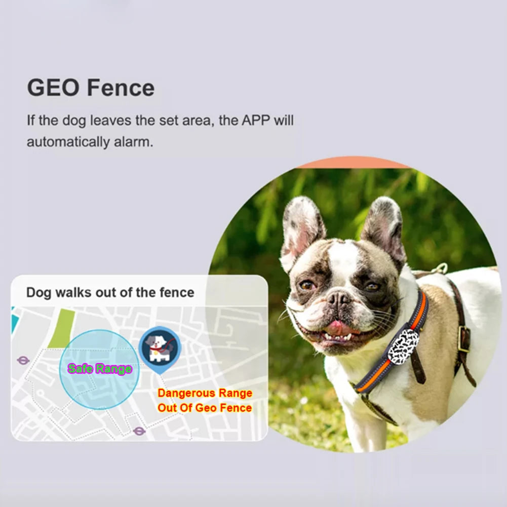 Pet GPS Tracker  SIM Card 4G/GPS/LBS