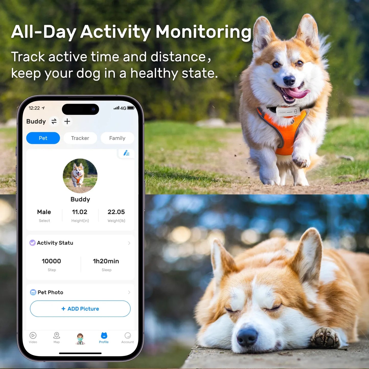 Dog GPS Tracker - Android iOS Universal