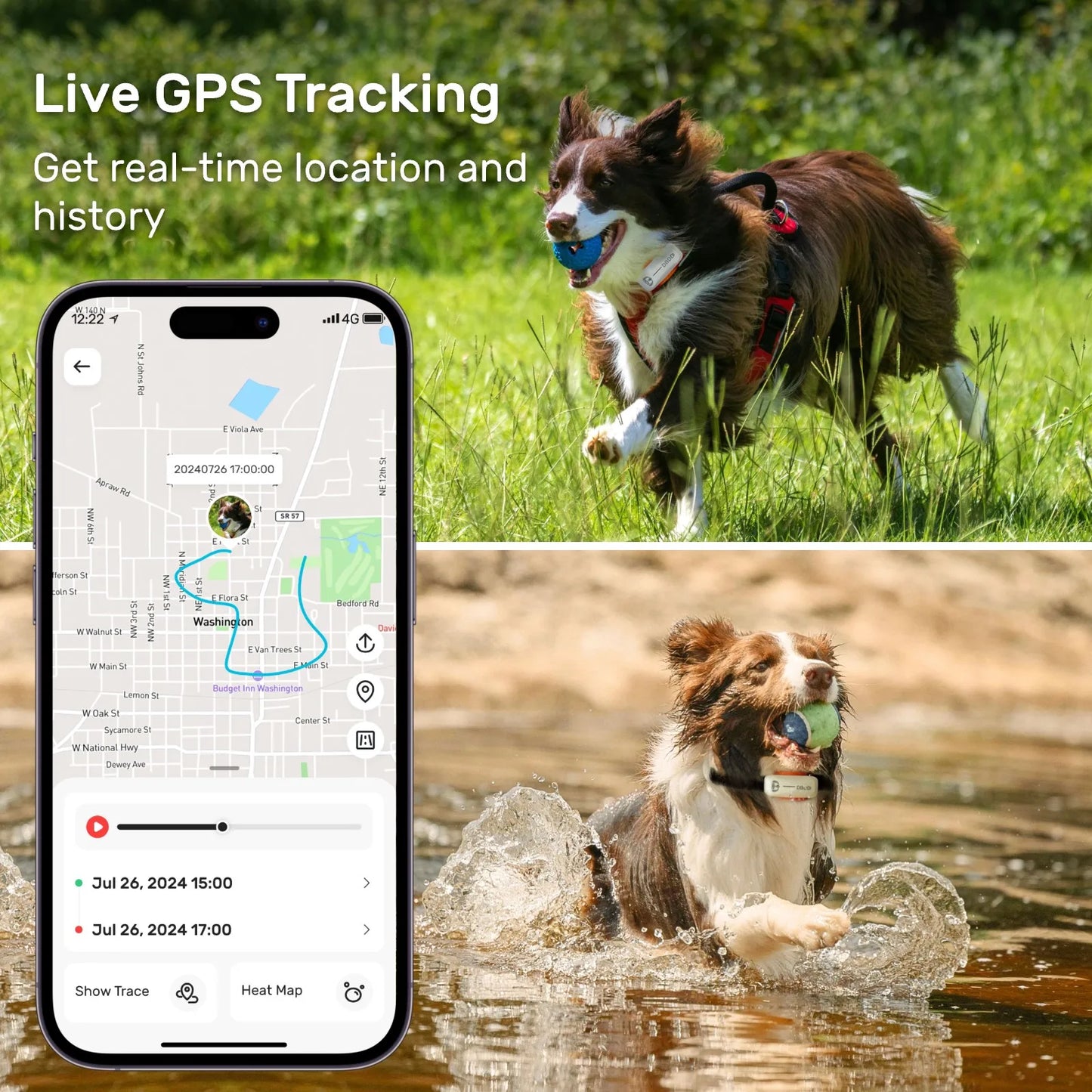 Dog GPS Tracker - Android iOS Universal